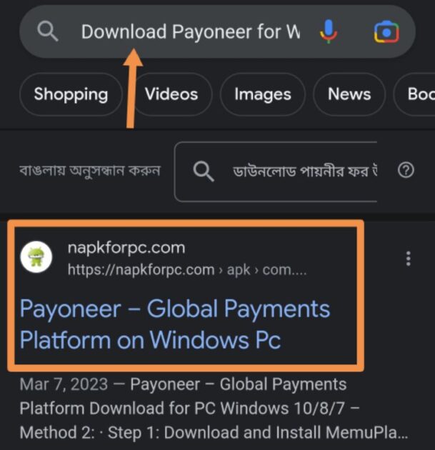 payoneer app download